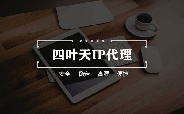 【邢台代理IP】如何快速搭建代理IP？怎么检查代理的效果？